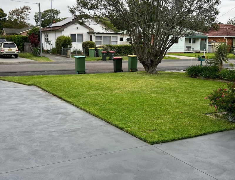 Image of a front lawn freshly mowed.