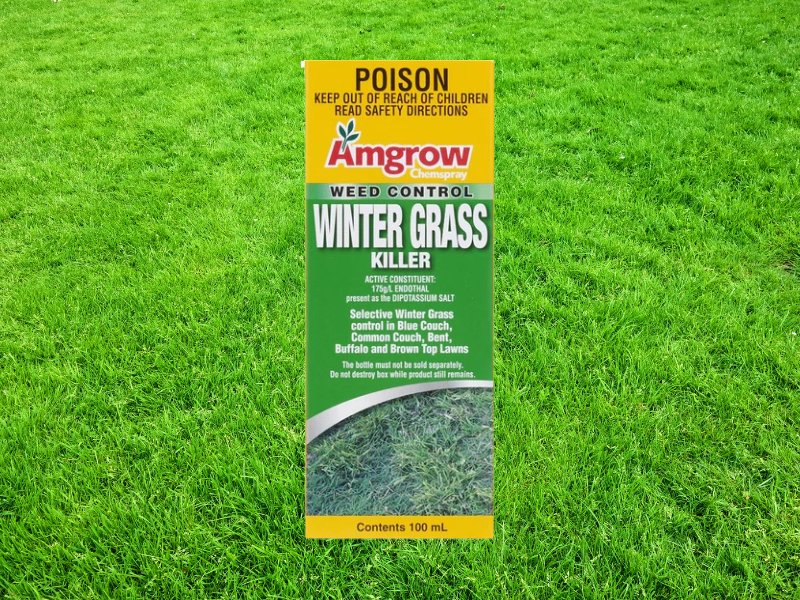 Winter Grass Killer